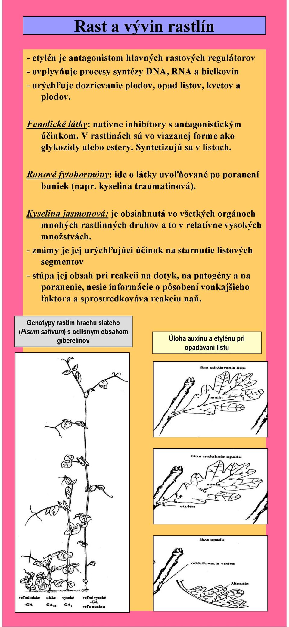Ranové fytohormóny: ide o látky uvoľňované po poranení buniek (napr. kyselina traumatinová).
