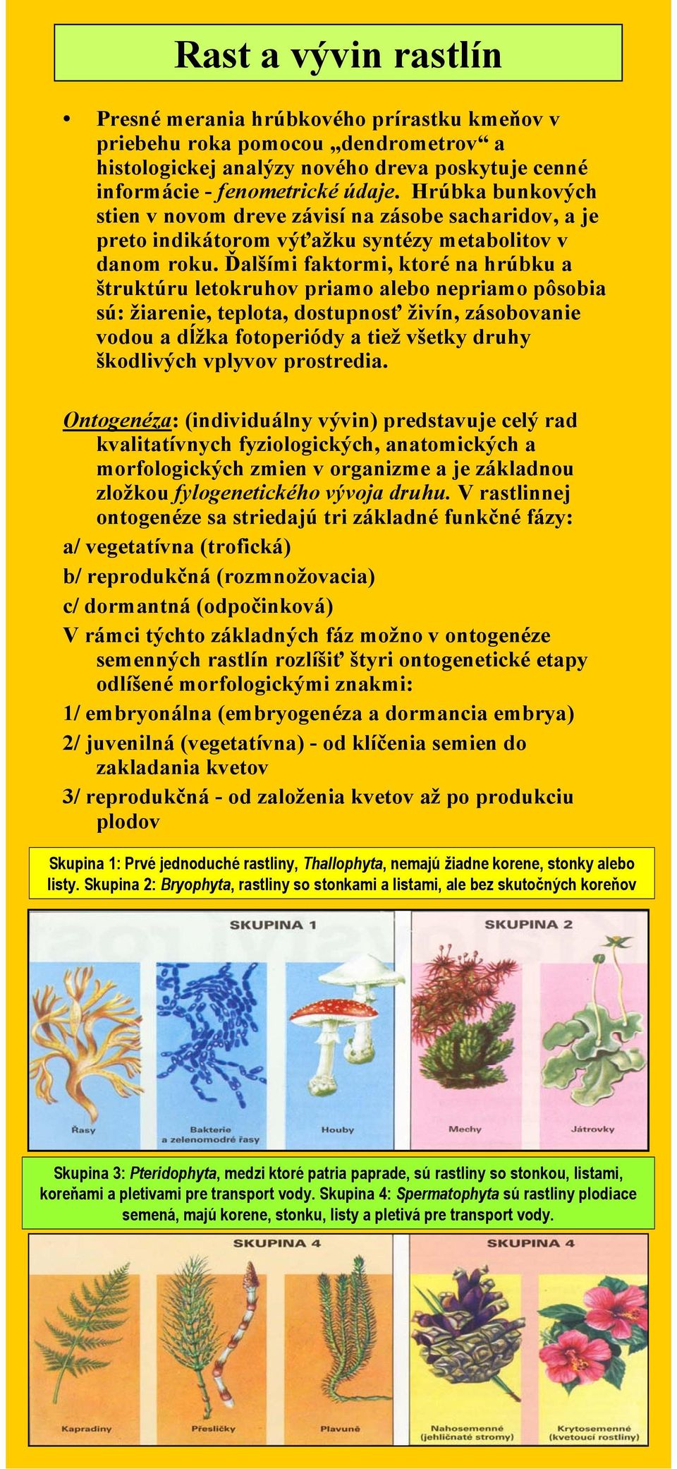 Ďalšími faktormi, ktoré na hrúbku a štruktúru letokruhov priamo alebo nepriamo pôsobia sú: žiarenie, teplota, dostupnosť živín, zásobovanie vodou a dĺžka fotoperiódy a tiež všetky druhy škodlivých