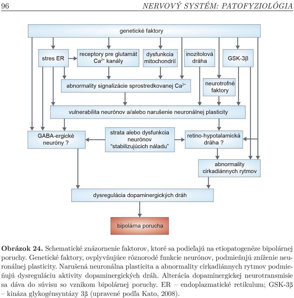 Narušená neuronálna plasticita a abnormality cirkadiánnych rytmov podmieňujú dysreguláciu aktivity dopaminergických dráh.
