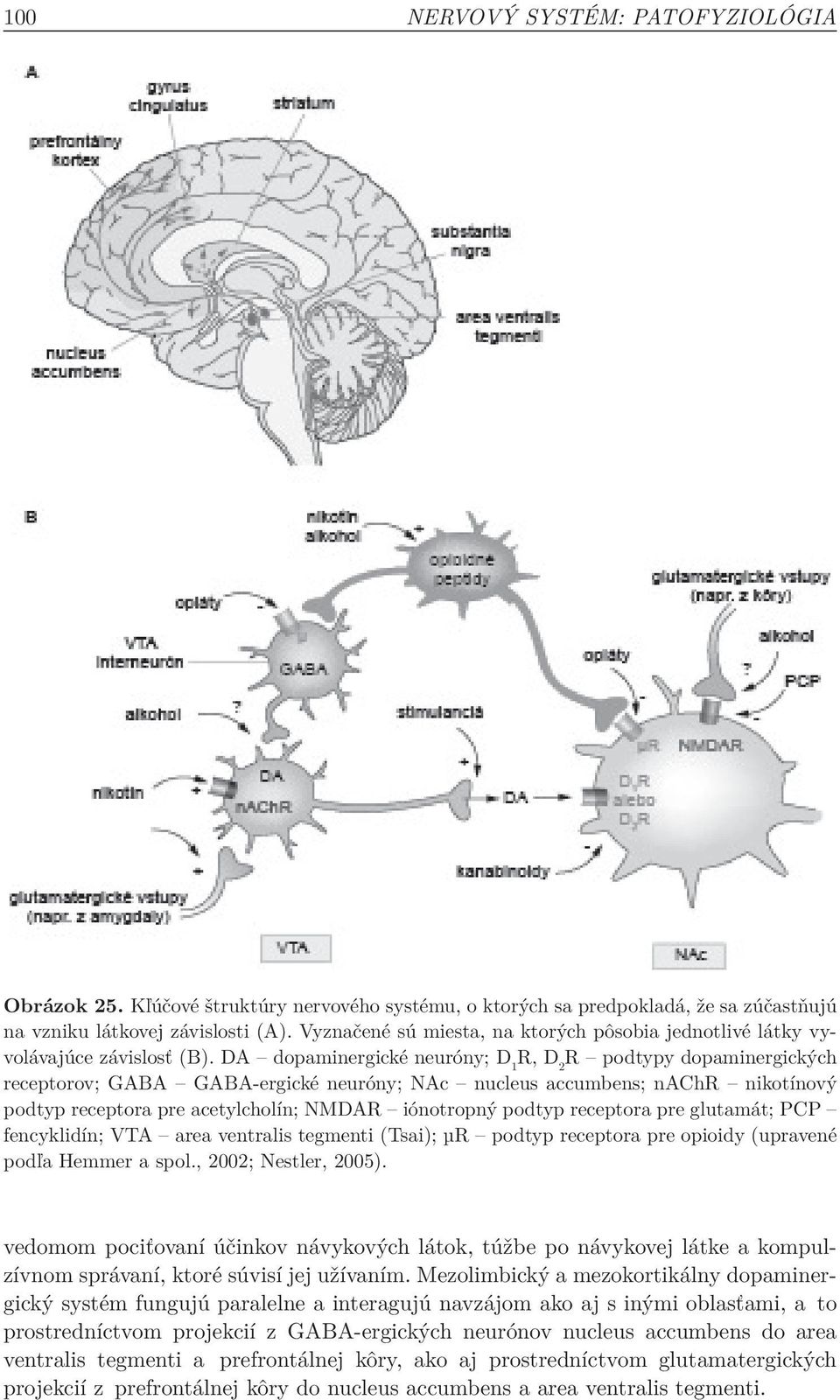 DA dopaminergické neuróny; D 1 R, D 2 R podtypy dopaminergických receptorov; GABA GABA-ergické neuróny; NAc nucleus accumbens; nachr nikotínový podtyp receptora pre acetylcholín; NMDAR iónotropný