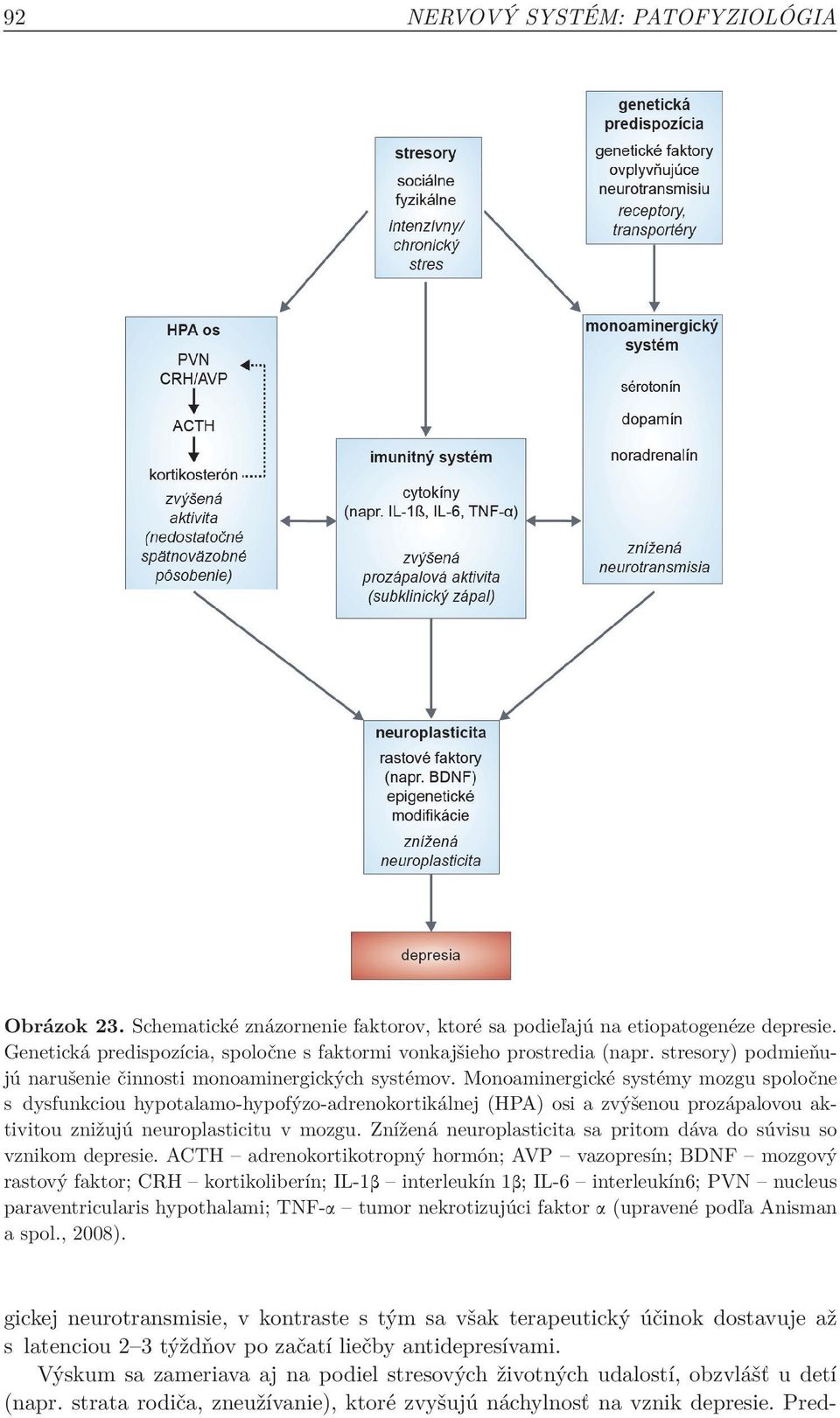 Monoaminergické systémy mozgu spoločne s dysfunkciou hypotalamo-hypofýzo-adrenokortikálnej (HPA) osi a zvýšenou prozápalovou aktivitou znižujú neuroplasticitu v mozgu.