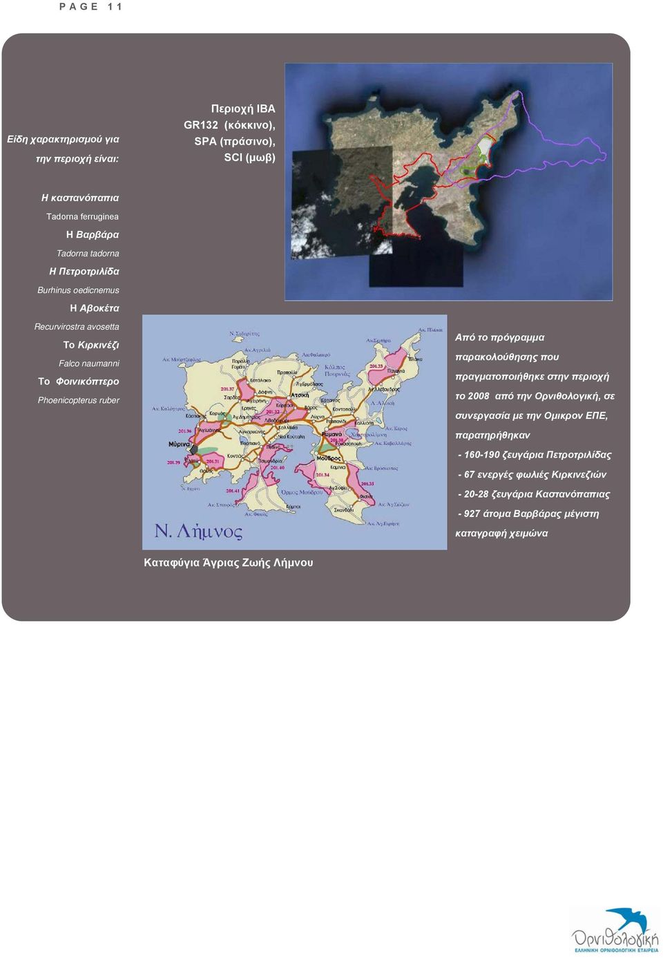 το πρόγραμμα παρακολούθησης που πραγματοποιήθηκε στην περιοχή το 2008 από την Ορνιθολογική, σε συνεργασία με την Ομικρον ΕΠΕ, παρατηρήθηκαν - 160-190