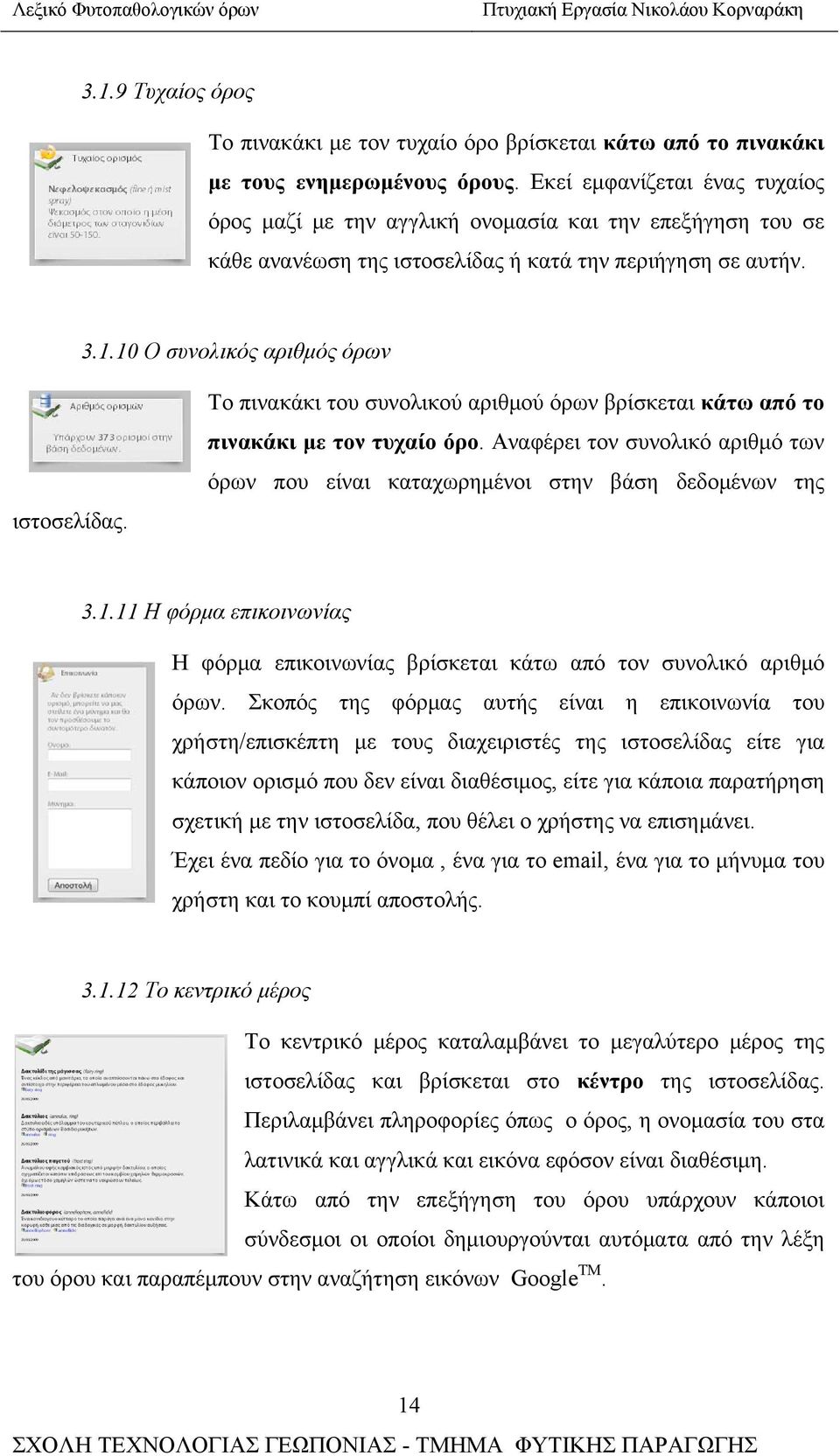 Το πινακάκι του συνολικού αριθμού όρων βρίσκεται κάτω από το πινακάκι με τον τυχαίο όρο. Αναφέρει τον συνολικό αριθμό των όρων που είναι καταχωρημένοι στην βάση δεδομένων της 3.1.