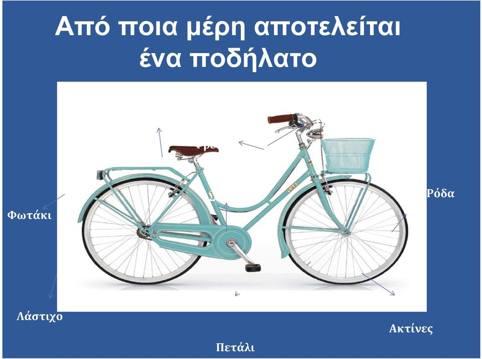 Φρέν α Φωτάκι Σκελετός