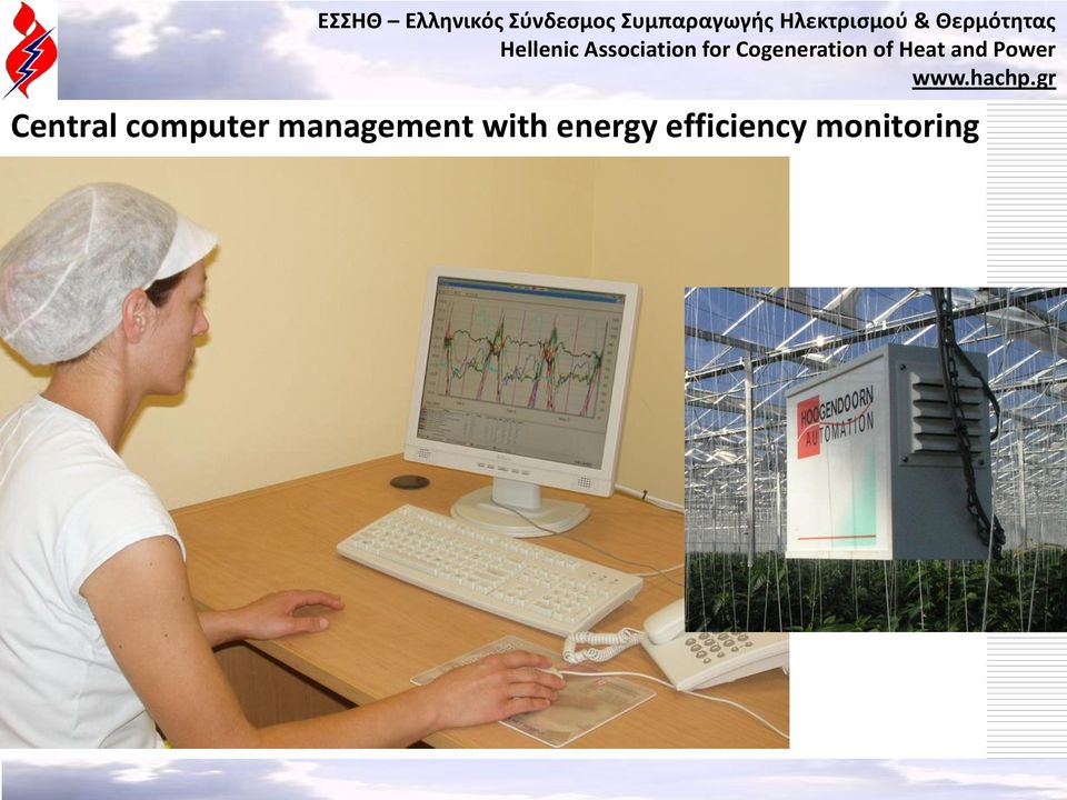 management with