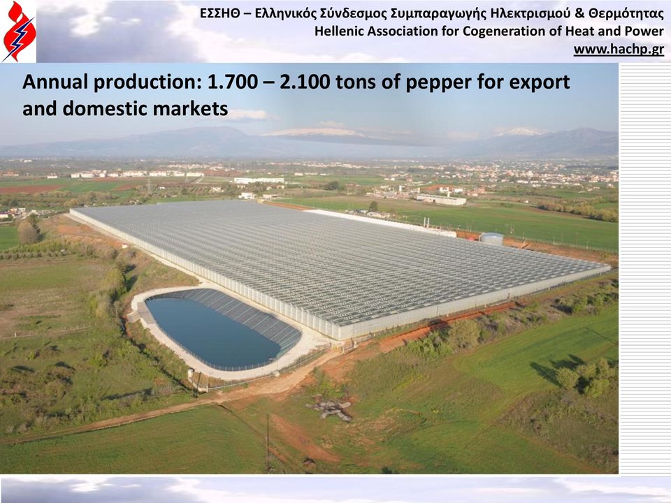 100 tons of pepper