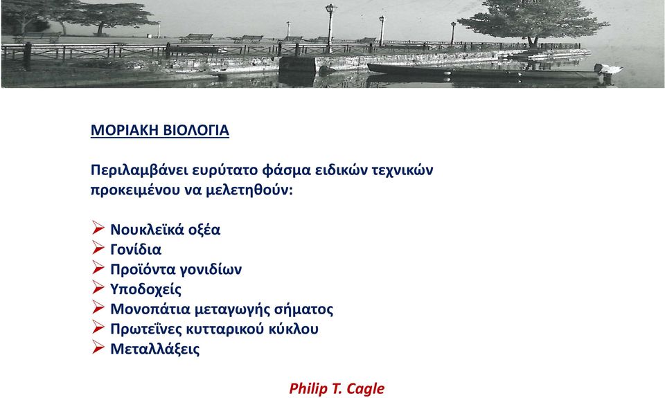 Γονίδια Προϊόντα γονιδίων Υποδοχείς Μονοπάτια μεταγωγής
