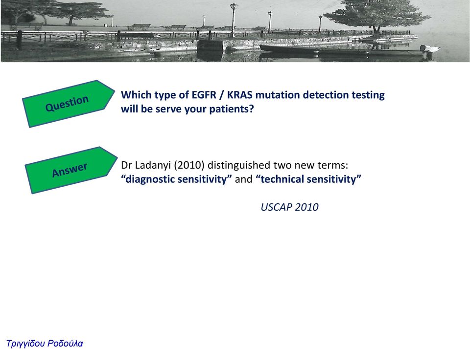 Dr Ladanyi (2010) distinguished two new terms: