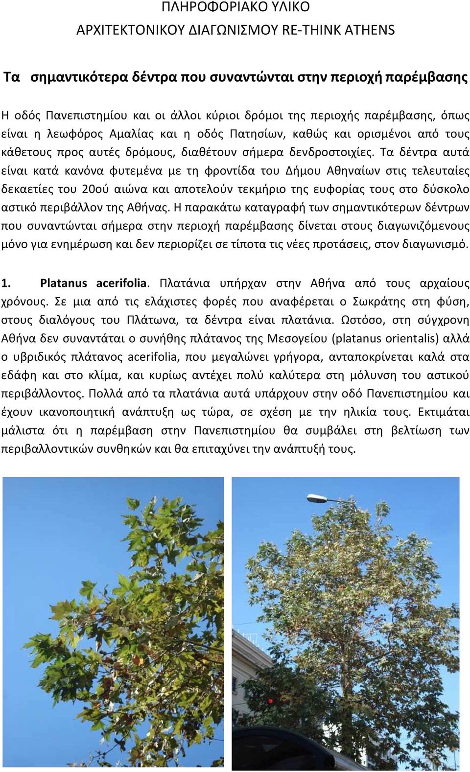 Τα δέντρα αυτά είναι κατά κανόνα φυτεμένα με τη φροντίδα του Δήμου Αθηναίων στις τελευταίες δεκαετίες του 20ού αιώνα και αποτελούν τεκμήριο της ευφορίας τους στο δύσκολο αστικό περιβάλλον της Αθήνας.