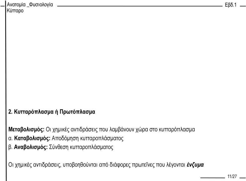 Καταβολισμός: Αποδόμηση κυτταροπλάσματος β.