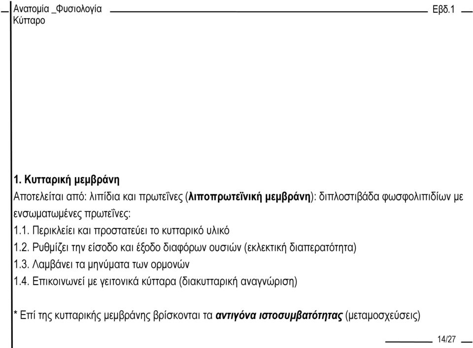 Ρυθμίζει την είσοδο και έξοδο διαφόρων ουσιών (εκλεκτική διαπερατότητα) 1.3. Λαμβάνει τα μηνύματα των ορμονών 1.4.