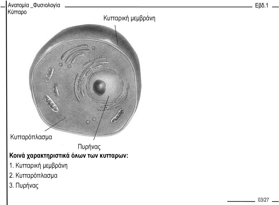 των κυττάρων: 1.