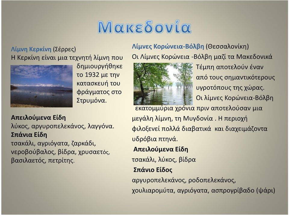 Λίμνες Κορώνεια-Βόλβη (Θεσσαλονίκη) Οι Λίμνες Κορώνεια -Βόλβη μαζί τα Μακεδονικά Τέμπη αποτελούν έναν από τους σημαντικότερους υγροτόπους της χώρας.
