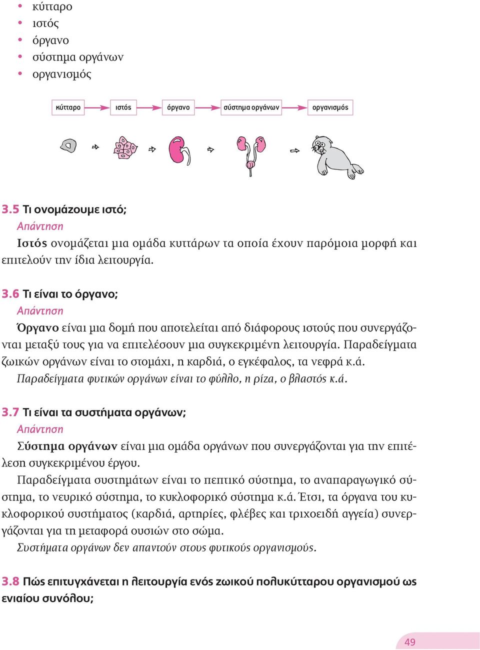 6 ΔÈ Â Ó È ÙÔ fiúá ÓÔ; ŸÚÁ ÓÔ είναι μια δομή που αποτελείται από διάφορους ιστούς που συνεργάζονται μεταξύ τους για να επιτελέσουν μια συγκεκριμένη λειτουργία.