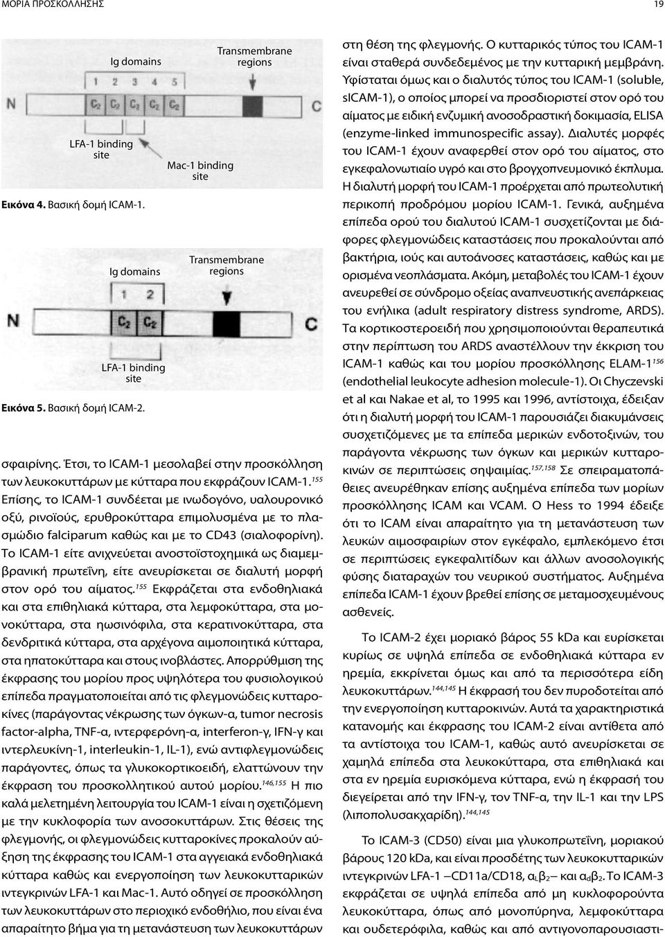 155 Επίσης, το ICAM-1 συνδέεται με ινωδογόνο, υαλουρονικό οξύ, ρινοϊούς, ερυθροκύτταρα επιμολυσμένα με το πλασμώδιο falciparum καθώς και με το CD43 (σιαλοφορίνη).