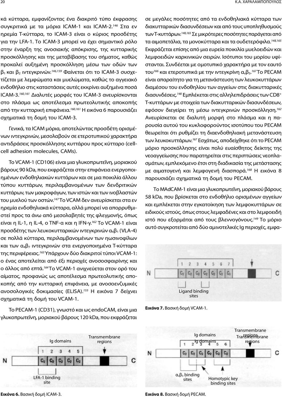 β 2 ιντεγκρινών. 146,159 Φαίνεται ότι το ICAM-3 συσχετίζεται με λεμφώματα και μυελώματα, καθώς το αγγειακό ενδοθήλιο στις καταστάσεις αυτές εκκρίνει αυξημένα ποσά ICAM-3.