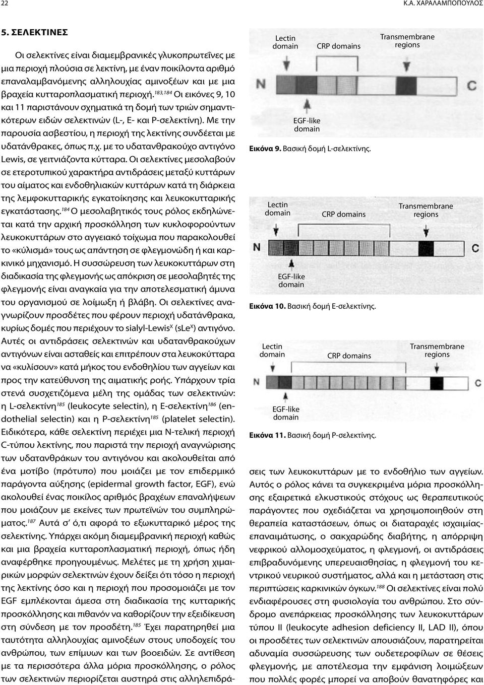 Transmembrane regions Transmembrane regions Transmembrane regions Οι σελεκτίνες είναι διαμεμβρανικές γλυκοπρωτεΐνες με μια περιοχή πλούσια σε λεκτίνη, με έναν ποικίλοντα αριθμό επαναλαμβανόμενης