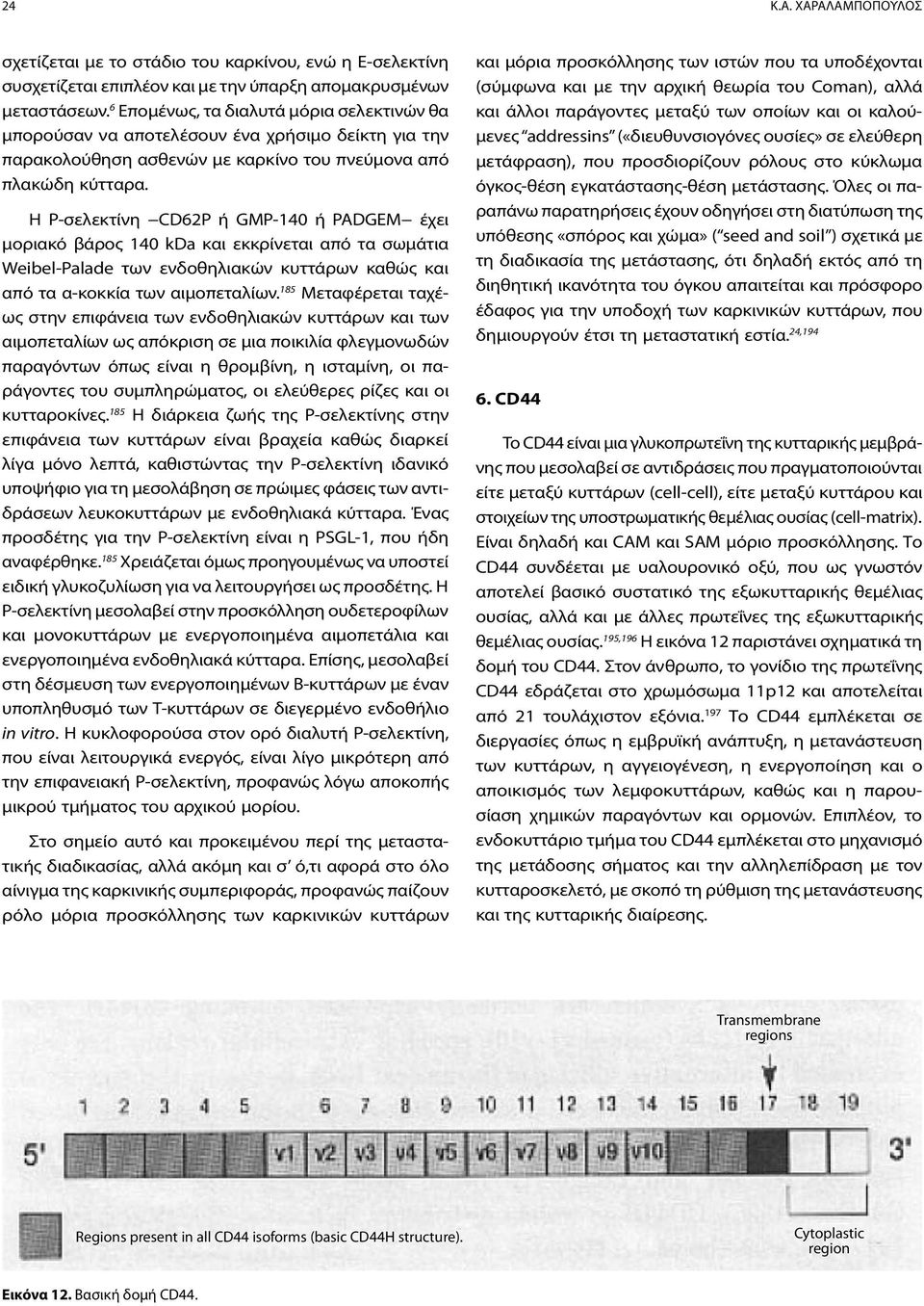 Η Ρ-σελεκτίνη CD62P ή GMP-140 ή PADGEM έχει μοριακό βάρος 140 kda και εκκρίνεται από τα σωμάτια Weibel-Palade των ενδοθηλιακών κυττάρων καθώς και από τα α-κοκκία των αιμοπεταλίων.