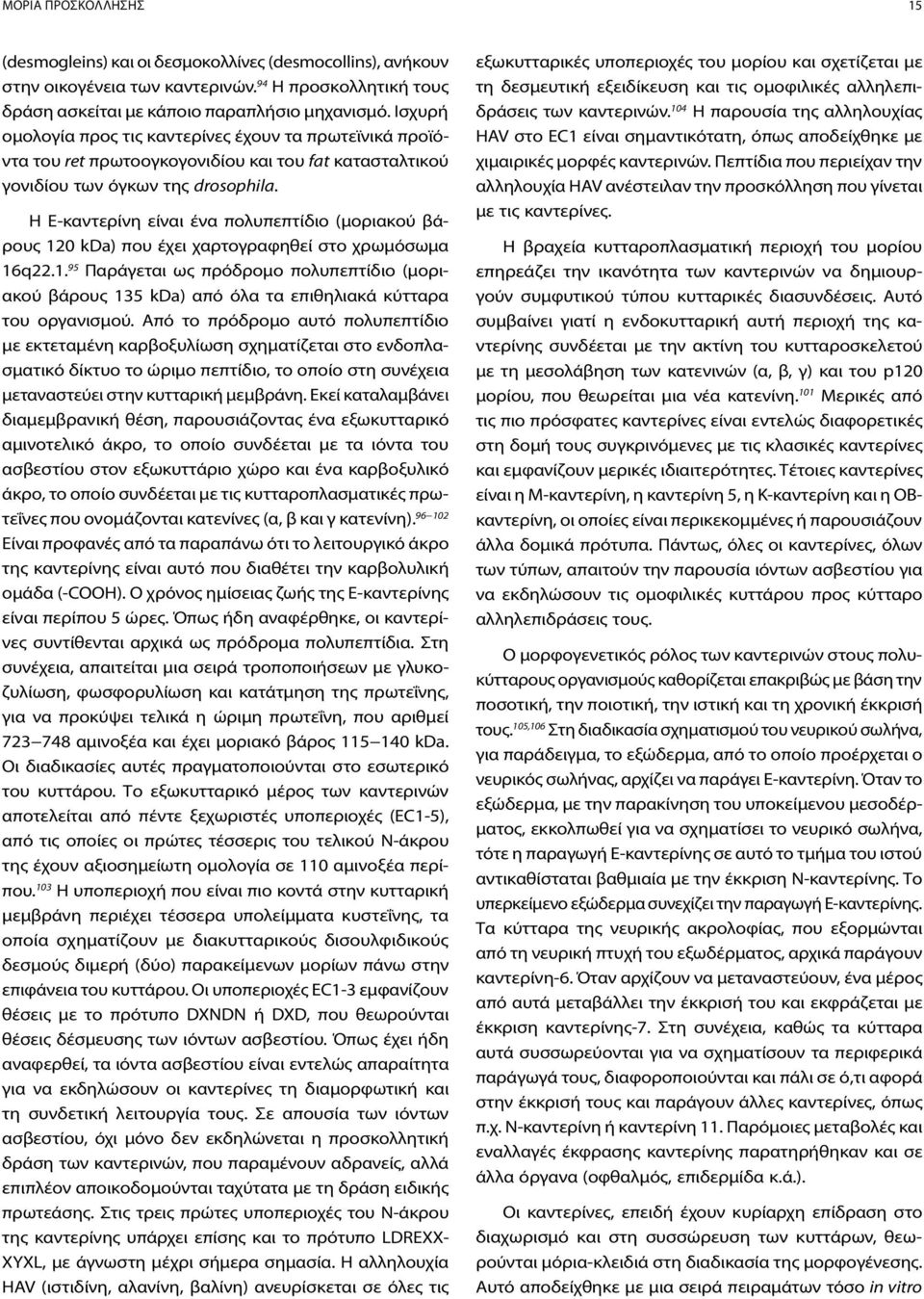 Η Ε-καντερίνη είναι ένα πολυπεπτίδιο (μοριακού βάρους 120 kda) που έχει χαρτογραφηθεί στο χρωμόσωμα 16q22.1. 95 Παράγεται ως πρόδρομο πολυπεπτίδιο (μοριακού βάρους 135 kda) από όλα τα επιθηλιακά κύτταρα του οργανισμού.