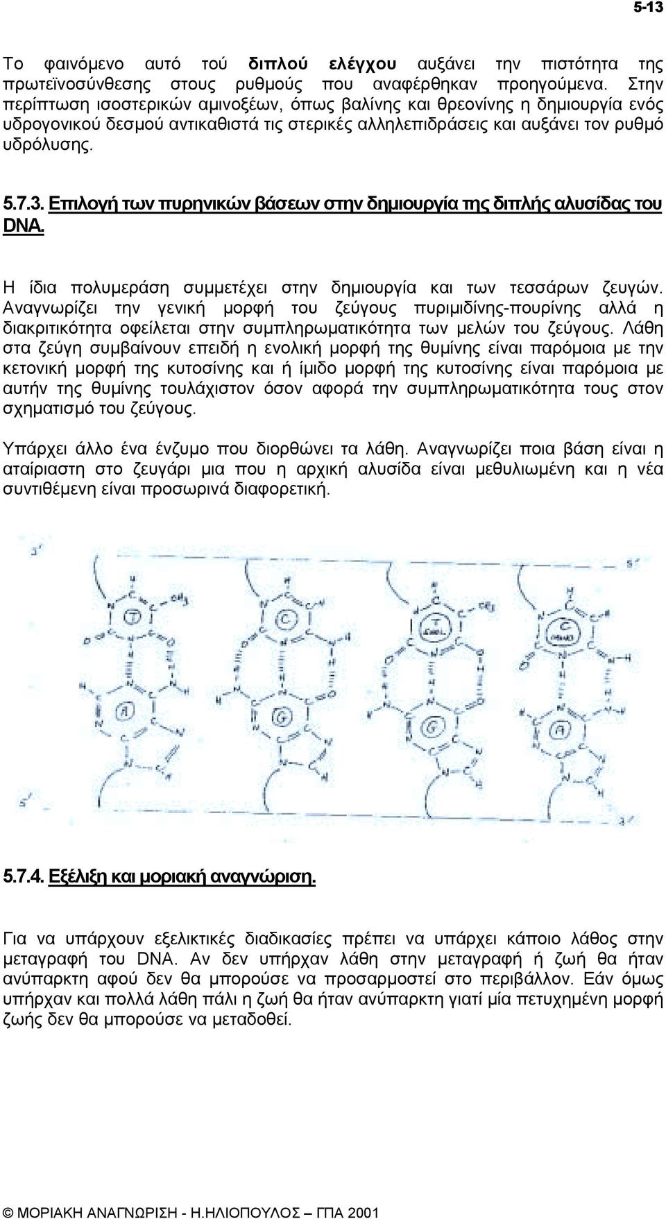 Επιλογή των πυρηνικών βάσεων στην δηµιουργία της διπλής αλυσίδας του DNA. Η ίδια πολυµεράση συµµετέχει στην δηµιουργία και των τεσσάρων ζευγών.