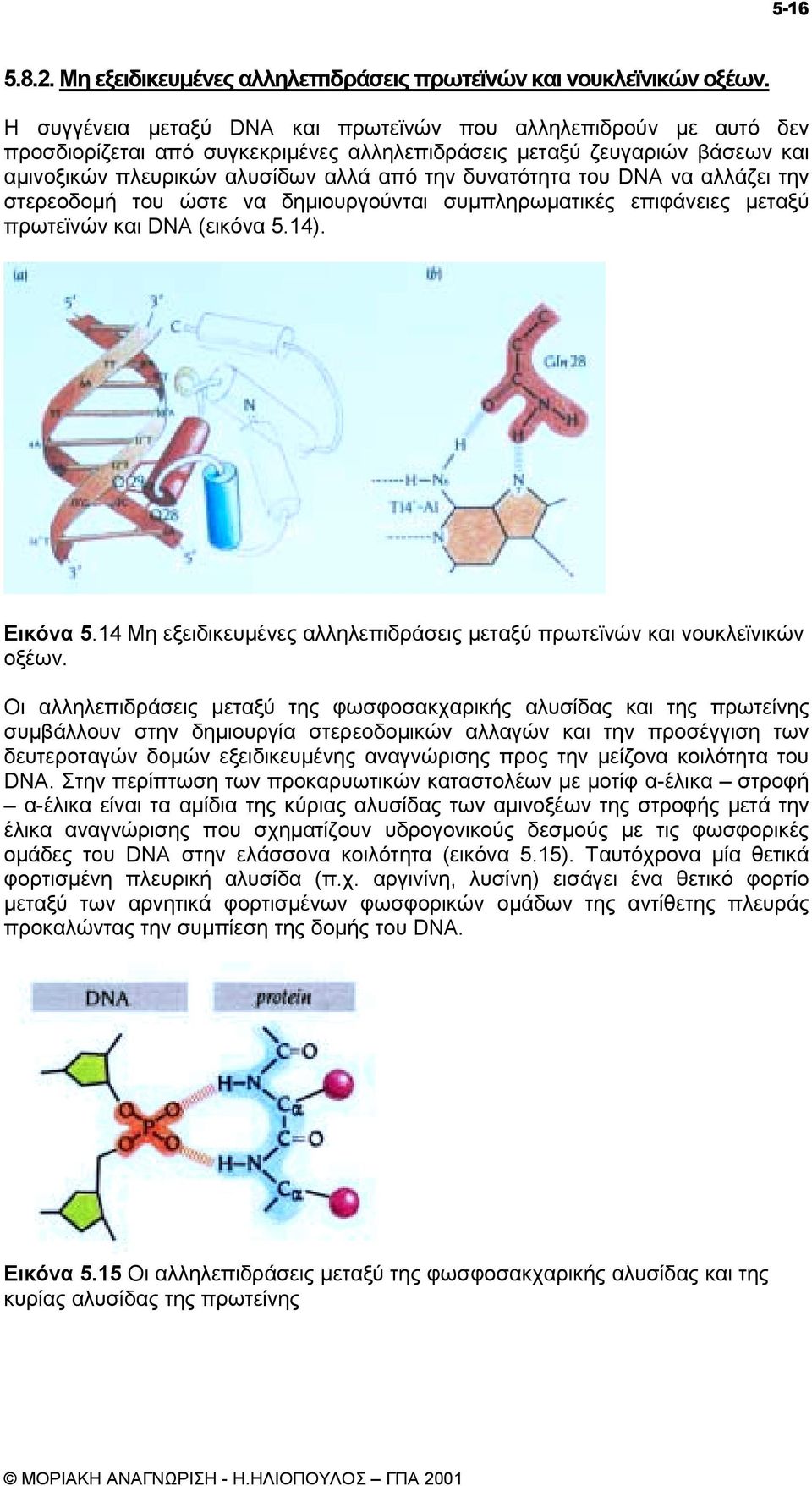 του DNA να αλλάζει την στερεοδοµή του ώστε να δηµιουργούνται συµπληρωµατικές επιφάνειες µεταξύ πρωτεϊνών και DNA (εικόνα 5.14). Εικόνα 5.