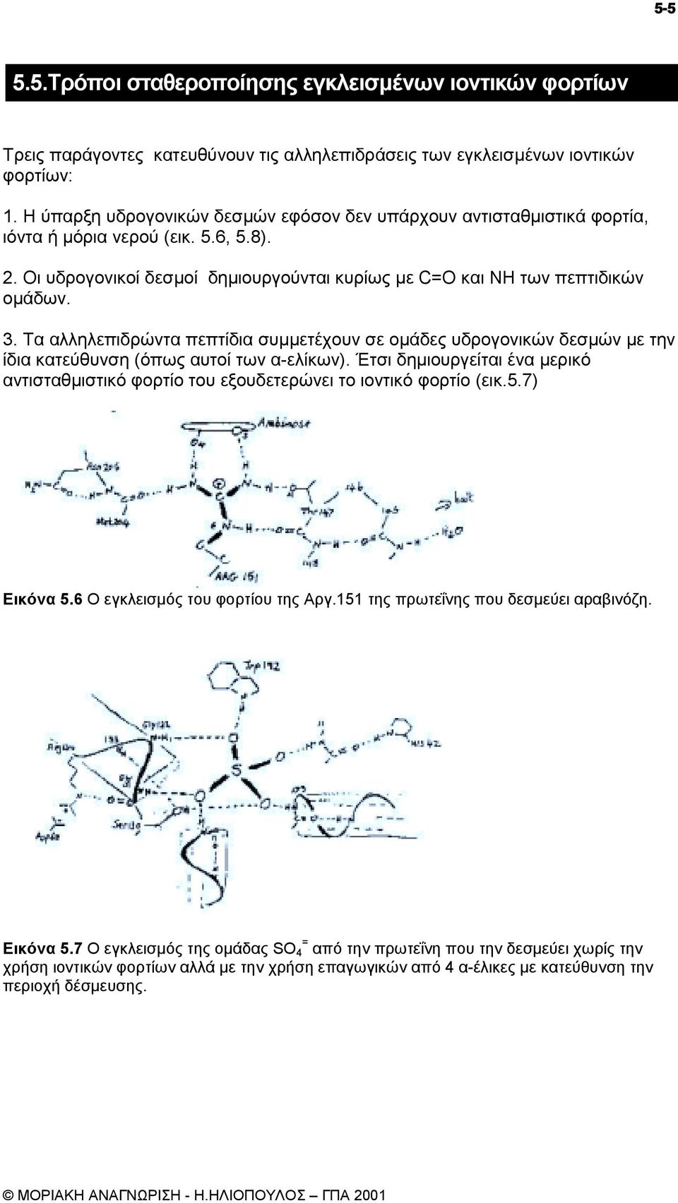Τα αλληλεπιδρώντα πεπτίδια συµµετέχουν σε οµάδες υδρογονικών δεσµών µε την ίδια κατεύθυνση (όπως αυτοί των α-ελίκων).