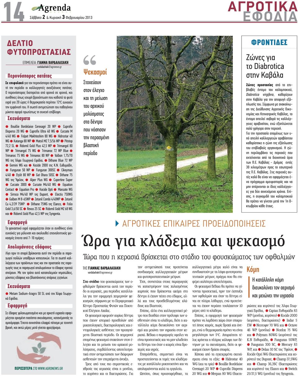 Η σωστή αντιµετώπιση του παθογόνου µύκητα αφορά πρωτίστως τη συνεχή επίβλεψη.