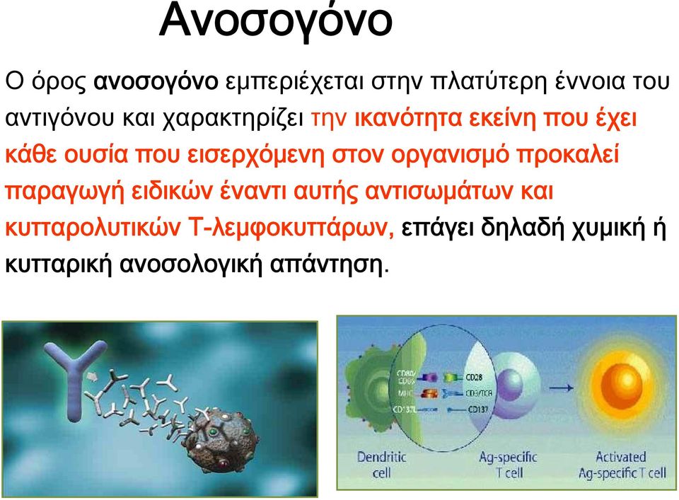 στον οργανισμό προκαλεί παραγωγή ειδικών έναντι αυτής αντισωμάτων και