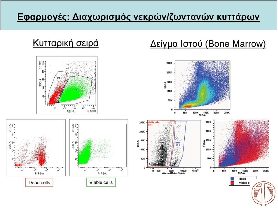 Κυτταρική σειρά είγμα Ιστού