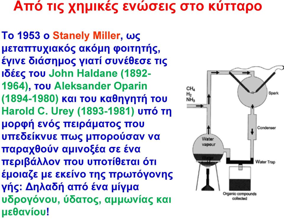 Urey (1893-1981) υπό τη μορφή ενός πειράματος που υπεδείκνυε πως μπορούσαν να παραχθούν αμινοξέα σε ένα