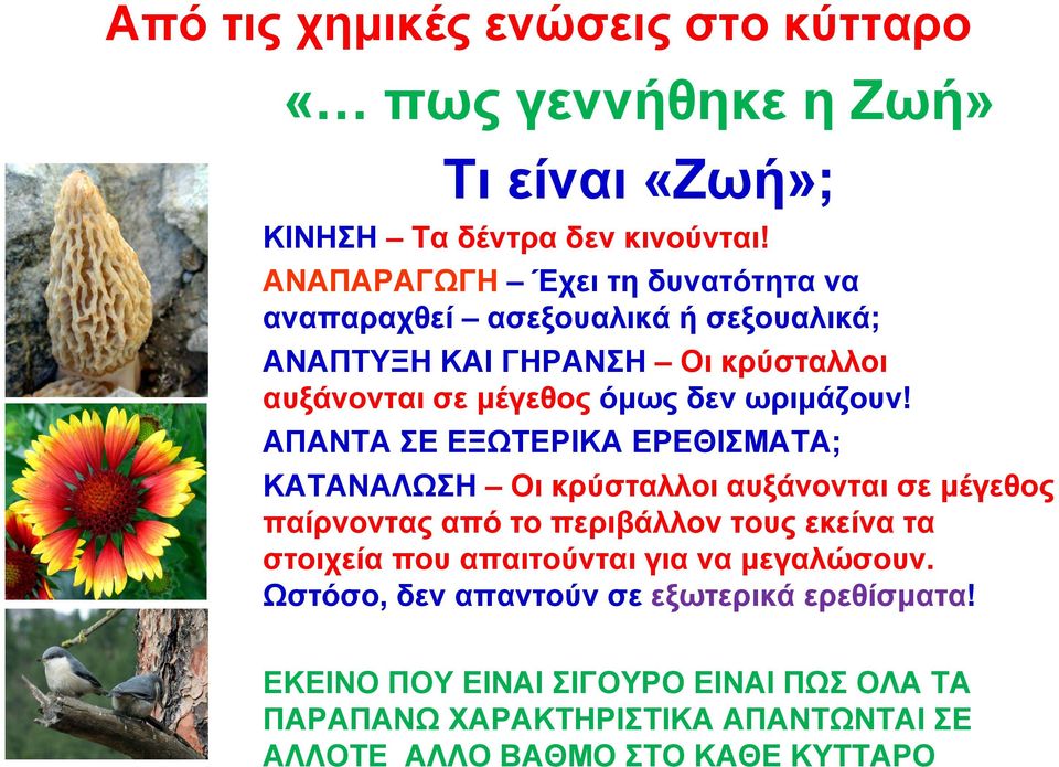 δεν ωριμάζουν!