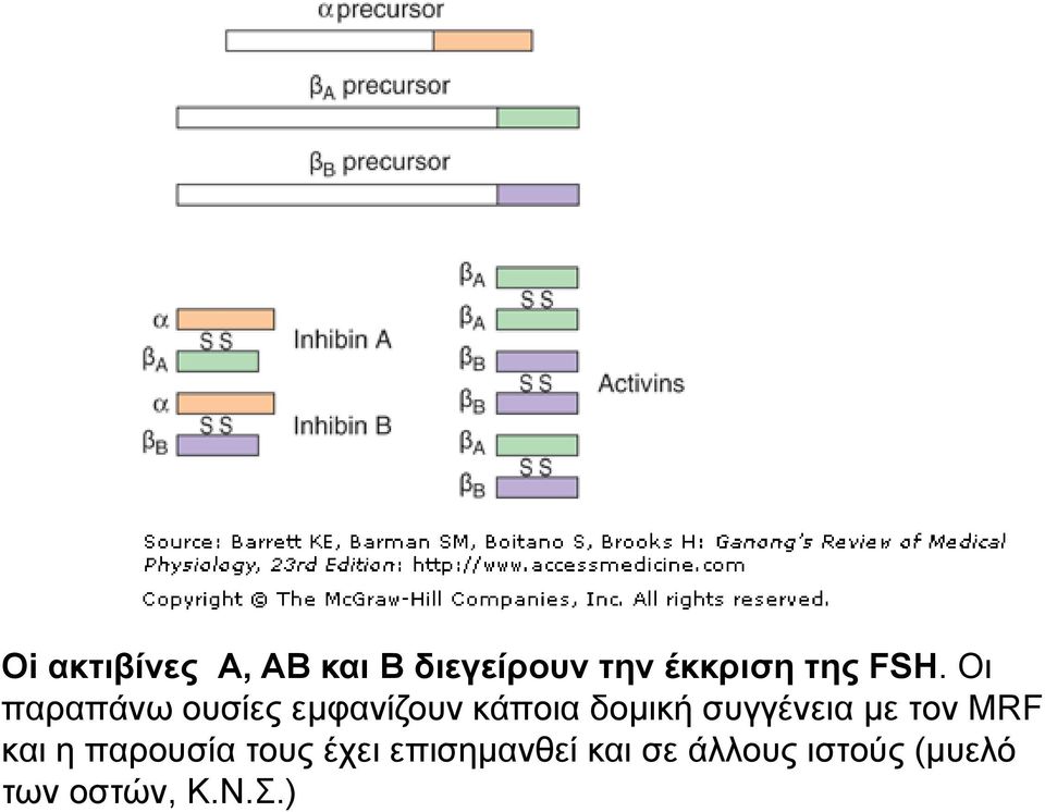 συγγένεια με τον ΜRF και η παρουσία τους έχει