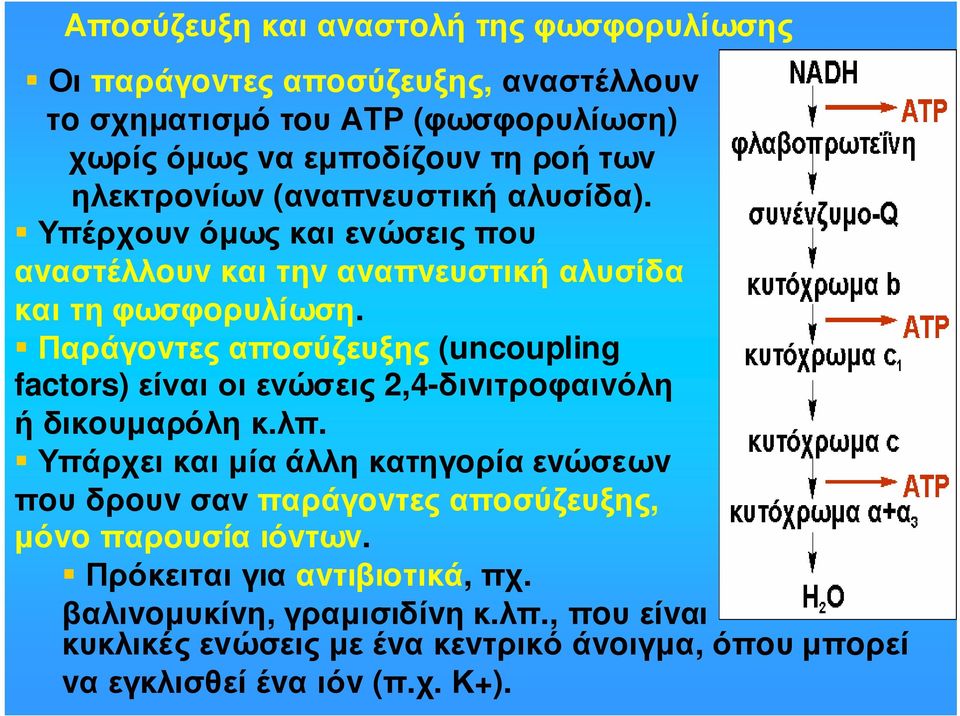 Παράγovτες απoσύζευξης (uncoupling factors) είναι οι ενώσεις 2,4-διvιτρoφαιvόλη ήδικoυµαρόληκ.λπ.