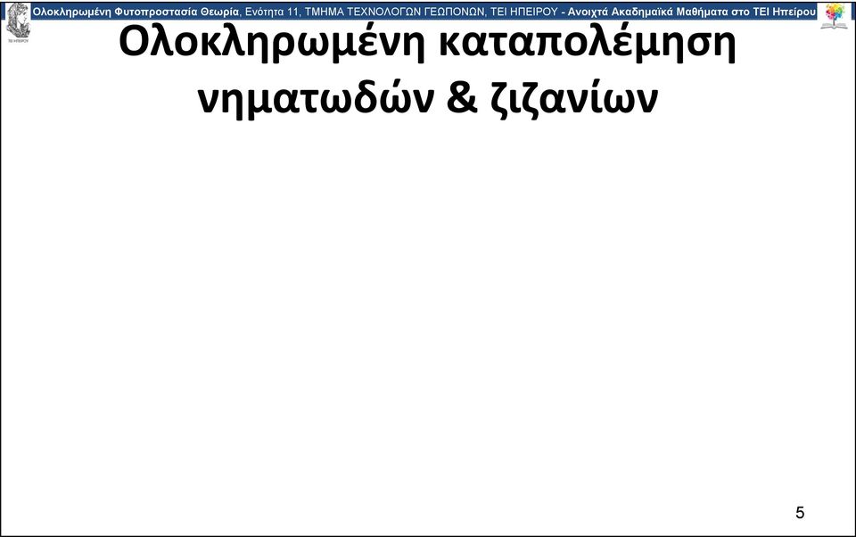 Ανοιχτά Ακαδημαϊκά Μαθήματα στο ΤΕΙ Ηπείρου