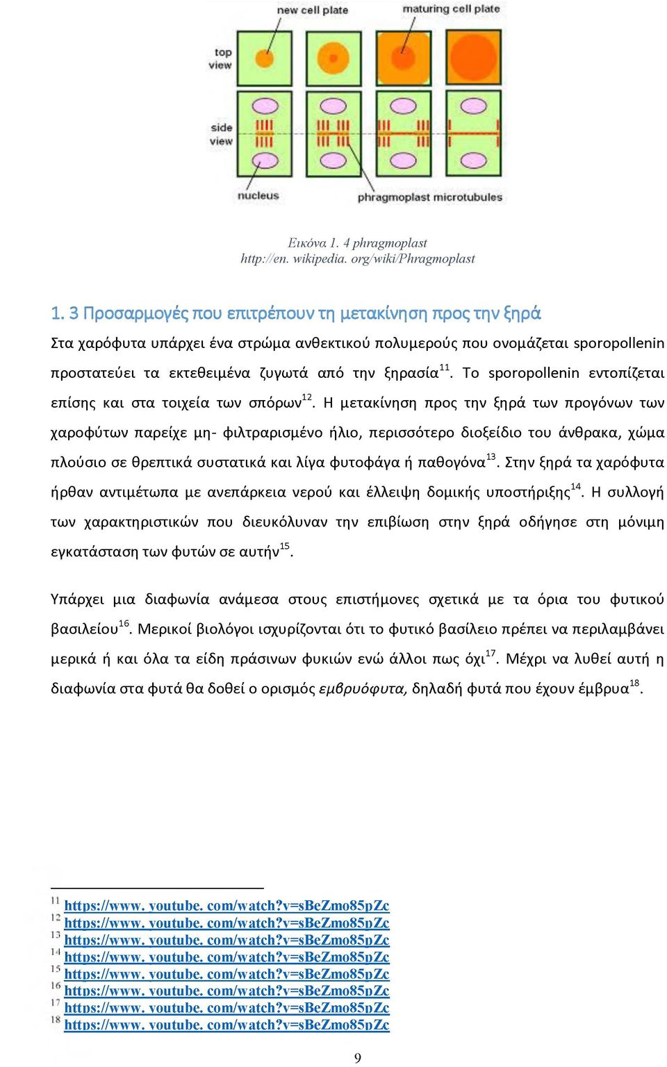 Το sporopollenin εντοπίζεται επίσης και στα τοιχεία των σπόρων12.