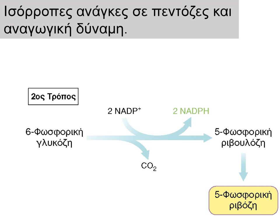 πεντόζες και