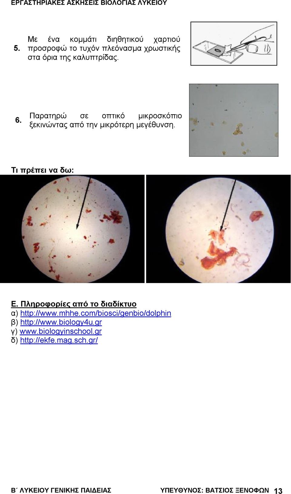 Πληροφορίες από το διαδίκτυο α) http://www.mhhe.com/biosci/genbio/dolphin β) http://www.biology4u.