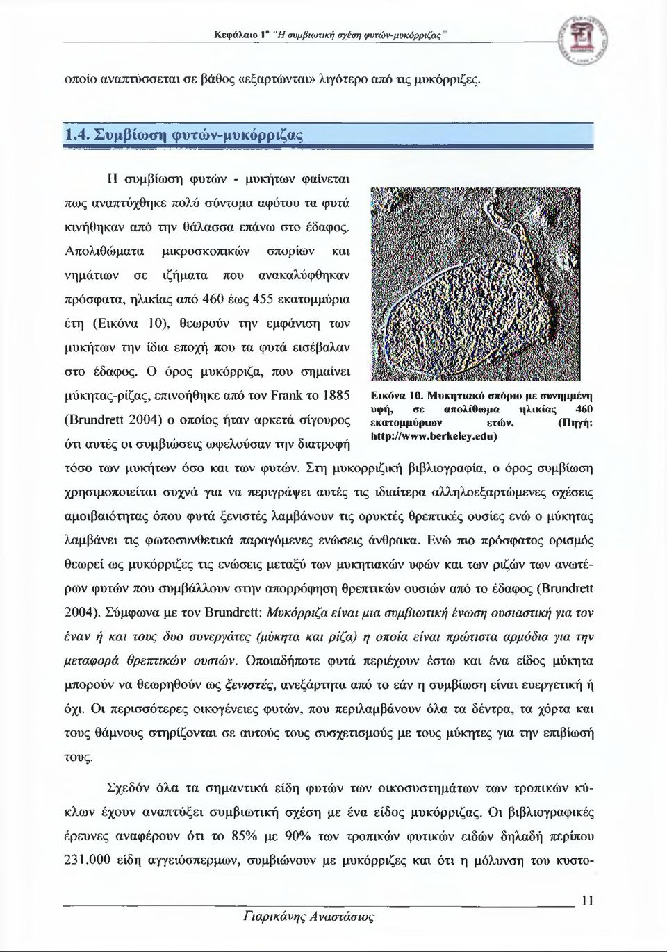 Απολιθώματα μικροσκοπικών σπορίων και νημάτιων σε ιζήματα που ανακαλύφθηκαν πρόσφατα, ηλικίας από 460 έως 455 εκατομμύρια έτη (Εικόνα 10), θεωρούν την εμφάνιση των μυκήτων την ίδια εποχή που τα φυτά