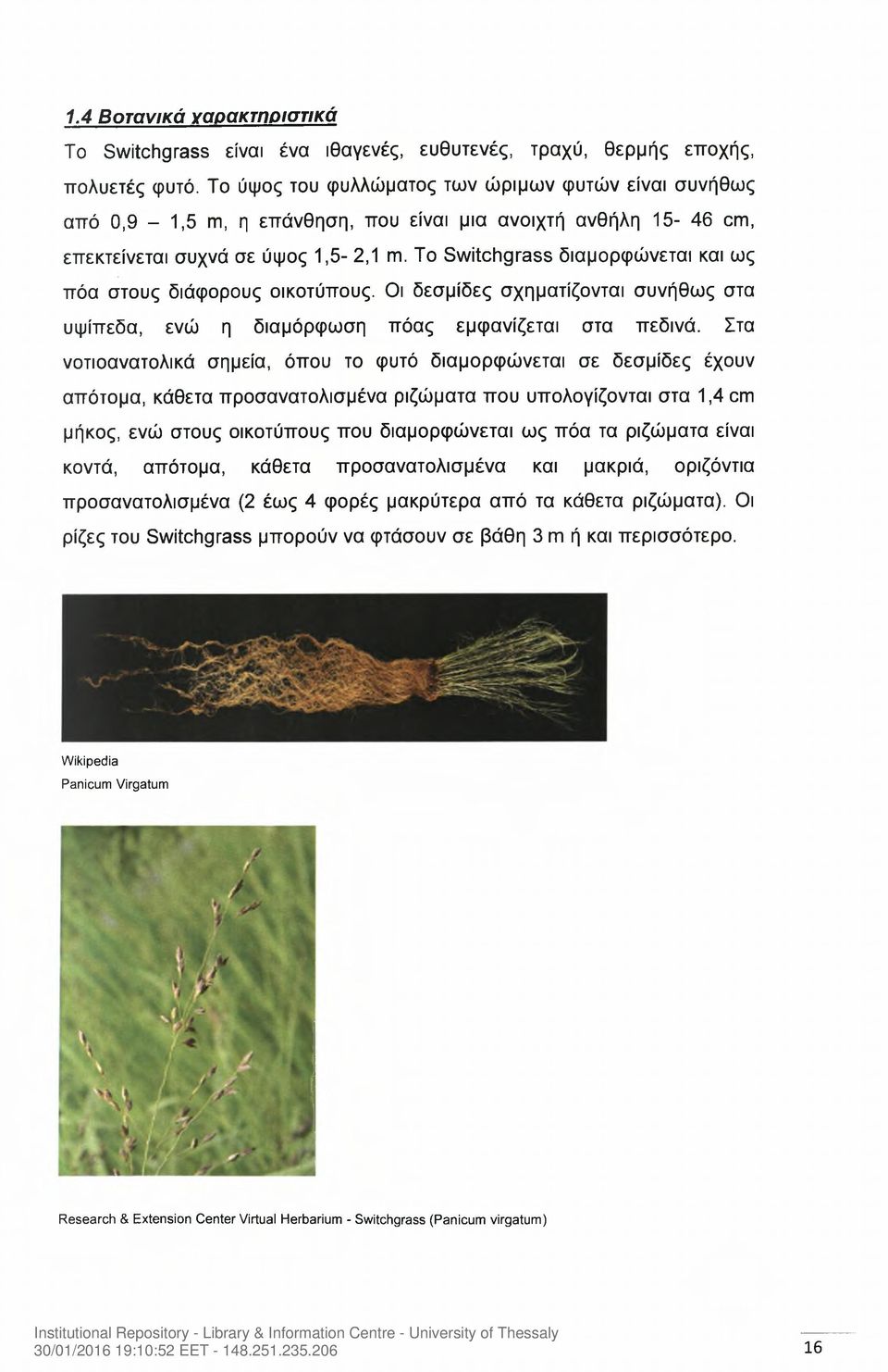 To Switchgrass διαμορφώνεται και ως πόα στους διάφορους οικοτύπους. Οι δεσμίδες σχηματίζονται συνήθως στα υψίπεδα, ενώ η διαμόρφωση πόας εμφανίζεται στα πεδινά.