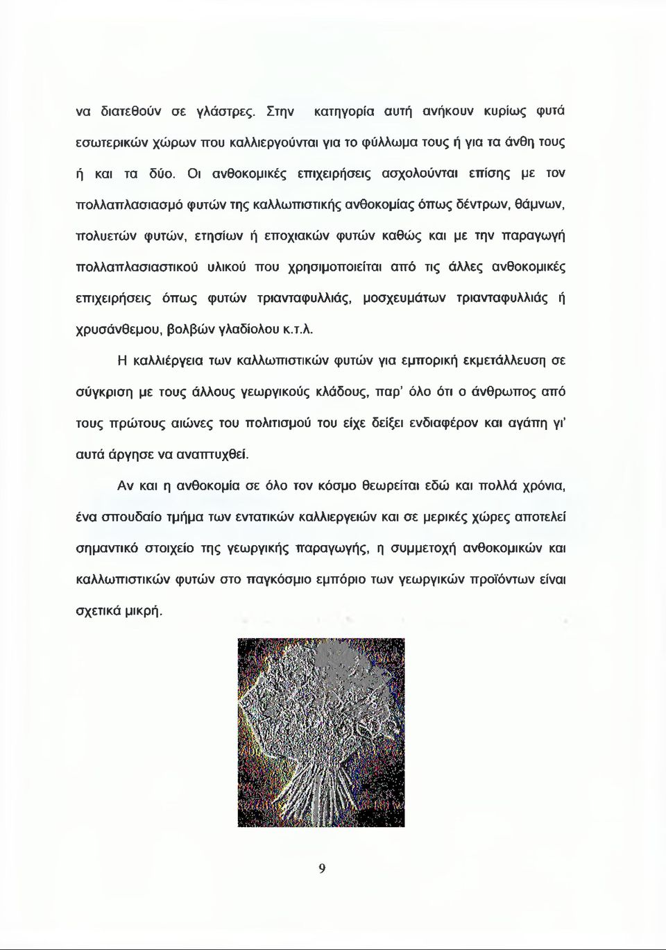 πολλαπλασιαστικού υλικού που χρησιμοποιείται από τις άλλες ανθοκομικές επιχειρήσεις όπως φυτών τριανταφυλλιάς, μοσχευμάτων τριανταφυλλιάς ή χρυσάνθεμου, βολβών γλαδίολου κ.τ.λ. Η καλλιέργεια των