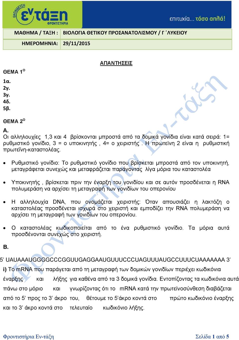 Ρυθμιστικό γονίδιο: Το ρυθμιστικό γονίδιο που βρίσκεται μπροστά από τον υποκινητή, μεταγράφεται συνεχώς και μεταφράζεται παράγοντας λίγα μόρια του καταστολέα Υποκινητής, βρίσκεται πριν την έναρξη του