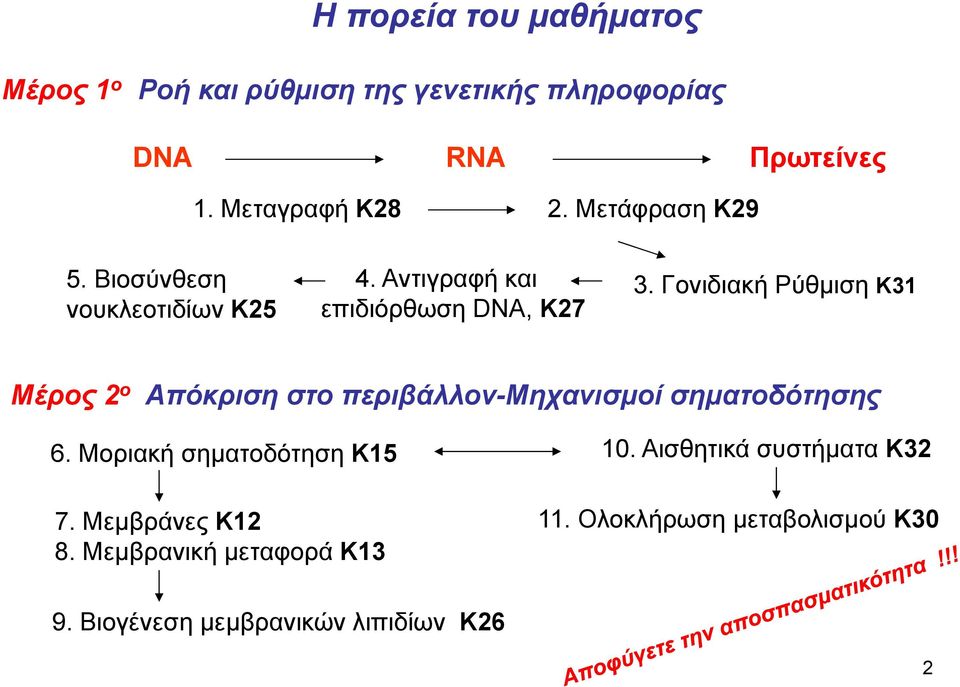 Γονιδιακή Ρύθμιση Κ31 Μέρος 2 ο Απόκριση στο περιβάλλον-μηχανισμοί σηματοδότησης 6. Μοριακή σηματοδότηση Κ15 7.