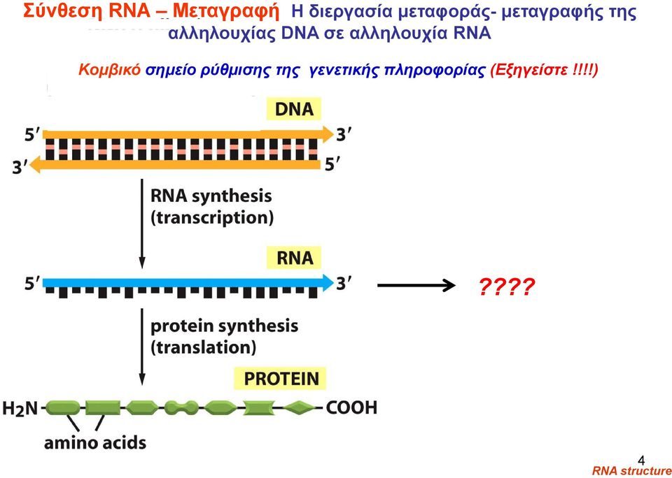 RNA Κομβικό σημείο ρύθμισης της γενετικής