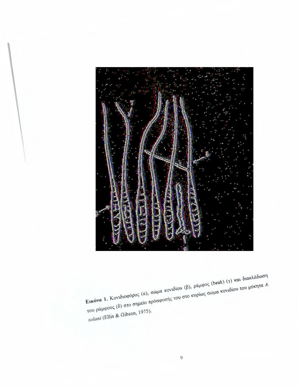 '4' K O ^ P O ; ^ ^ OTOroCTp «^, ο