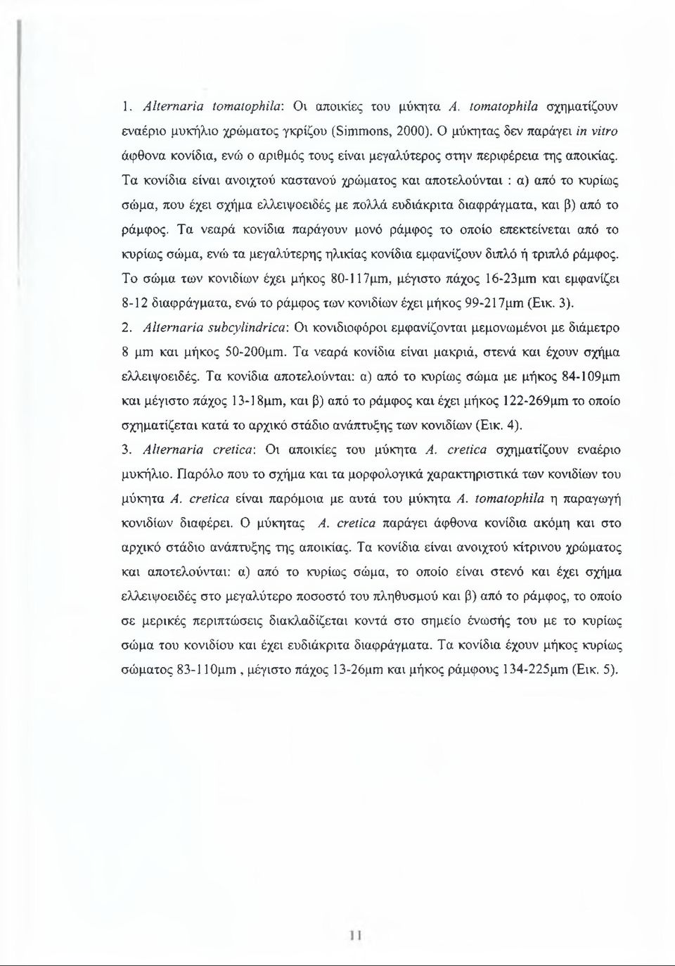Τα κονίδια είναι ανοιχτού καστανού χρώματος και αποτελούνται : α) από το κυρίως σώμα, που έχει σχήμα ελλειψοειδές με πολλά ευδιάκριτα διαφράγματα, και β) από το ράμφος.
