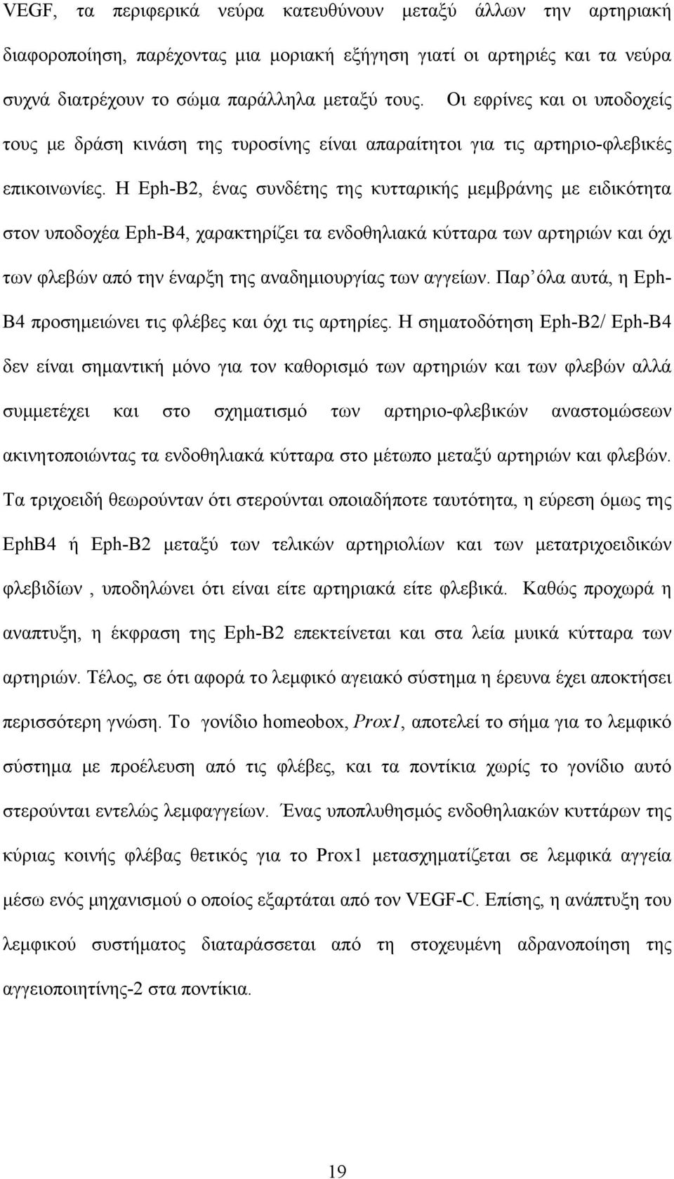 Η Eph-Β2, ένας συνδέτης της κυτταρικής μεμβράνης με ειδικότητα στον υποδοχέα Eph-B4, χαρακτηρίζει τα ενδοθηλιακά κύτταρα των αρτηριών και όχι των φλεβών από την έναρξη της αναδημιουργίας των αγγείων.