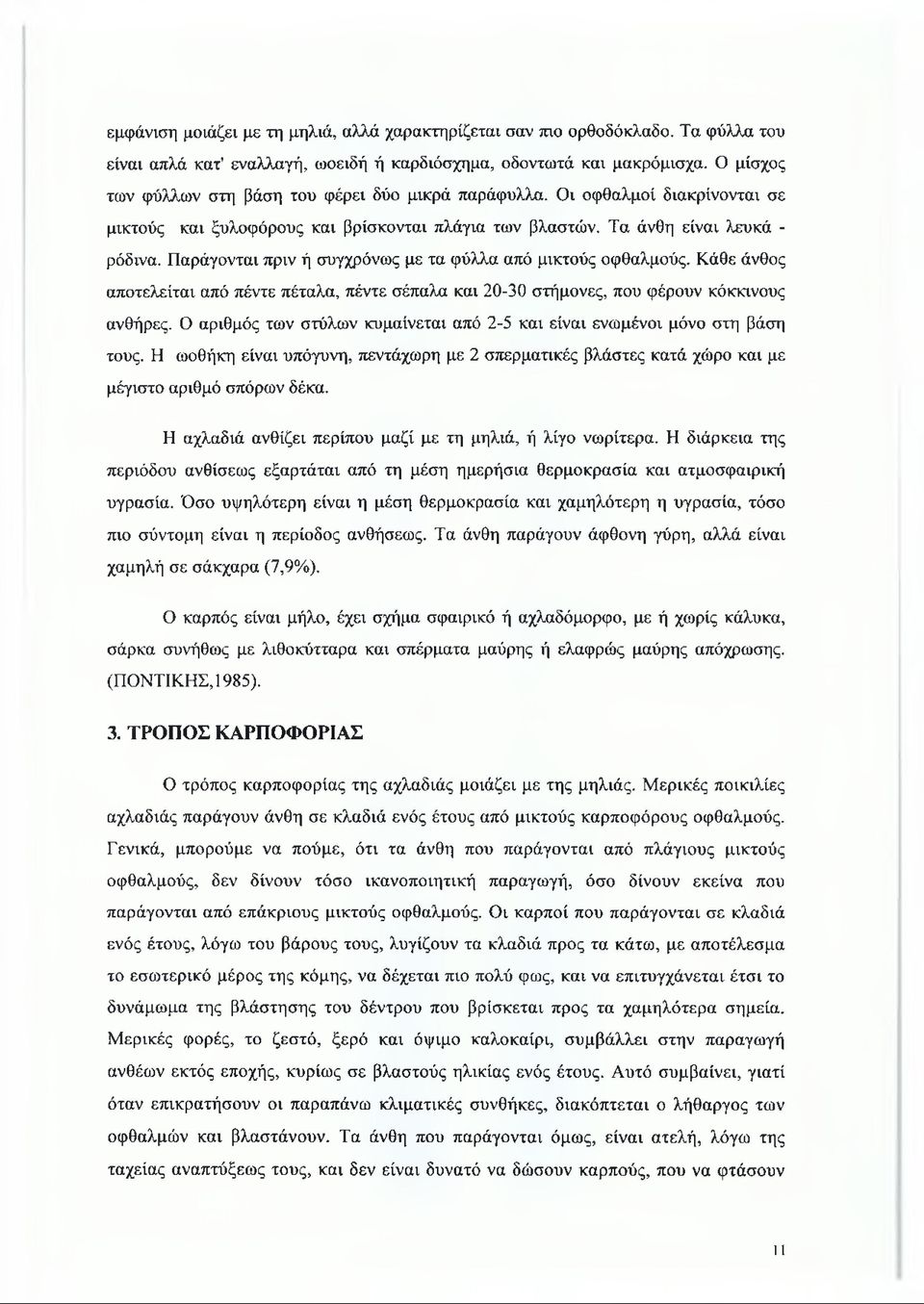 Παράγονται πριν ή συγχρόνως με τα φύλλα από μικτούς οφθαλμούς. Κάθε άνθος αποτελείται από πέντε πέταλα, πέντε σέπαλα και 20-30 στήμονες, που φέρουν κόκκινους ανθήρες.