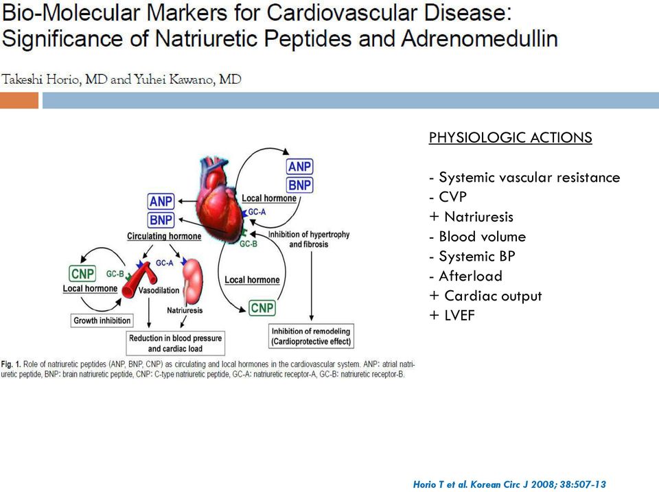 volume - Systemic BP - Afterload + Cardiac