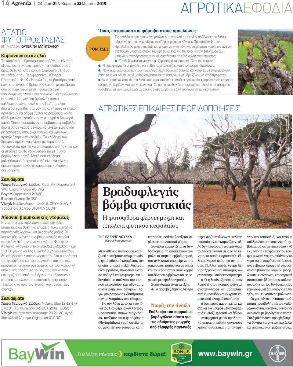 Σύµφωνα µε τους γεωπόνους του Περιφερειακού Κέντρου Προστασίας Φυτών Ηρακλείου, το βακτήριο όταν επικρατεί υγρός ή βροχερός καιρός µεταφέρεται από τα καρκινώµατα σε πρόσφατες µη επουλωµένες πληγές