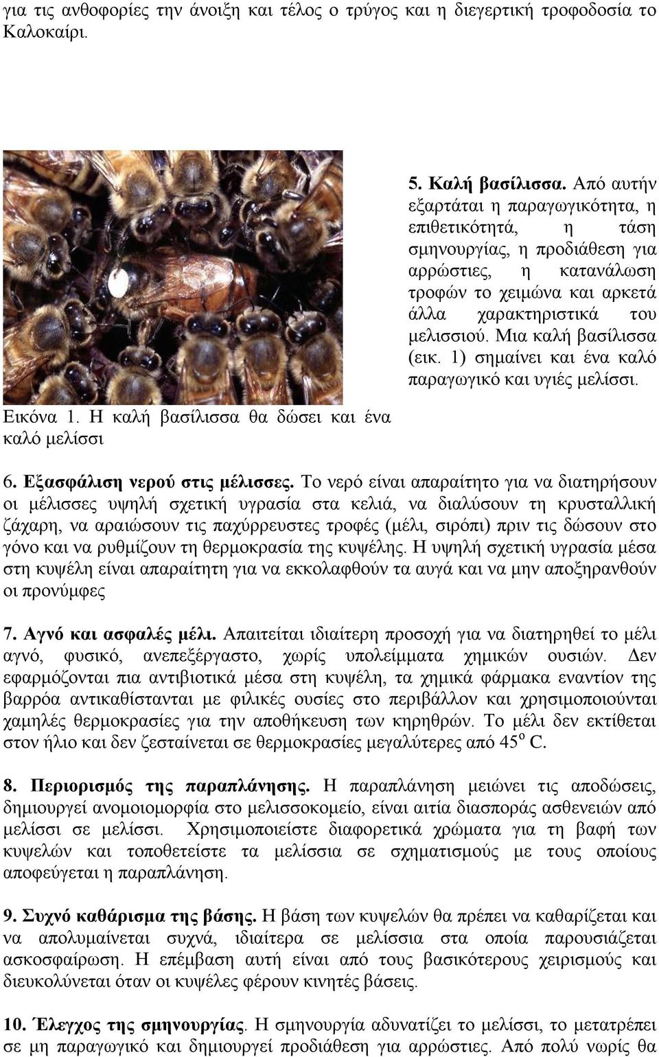 Μηα θαιή βαζίιηζζα (εηθ. 1) ζεκαίλεη θαη έλα θαιφ παξαγσγηθφ θαη πγηέο κειίζζη. 6. Δμαζθάιηζε λεξνύ ζηηο κέιηζζεο.